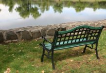 Nuova vita alla panchina 869 0 NUOVA VITA ALLA PANCHINA